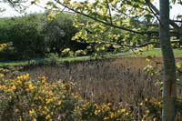 IMG_6145